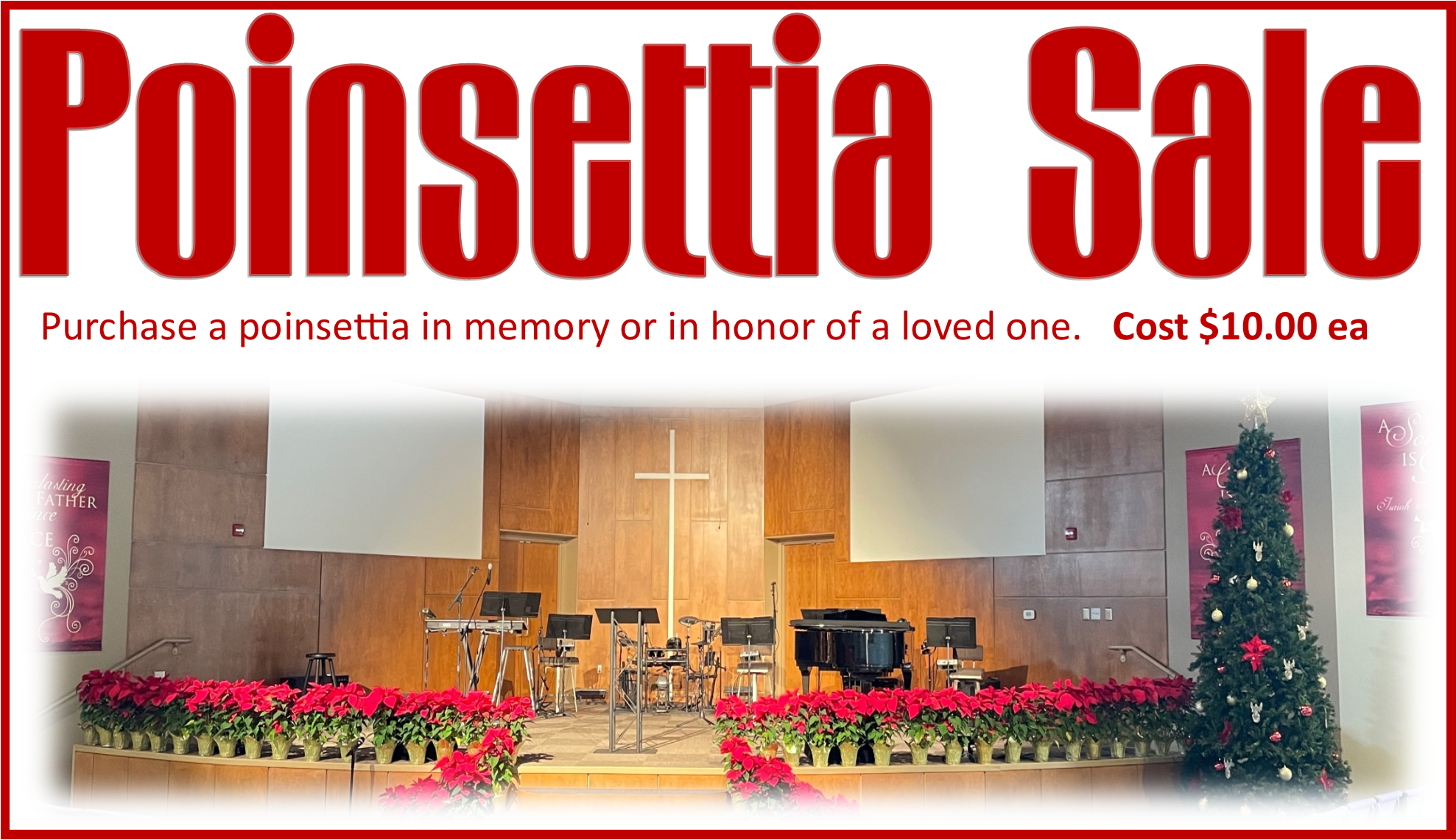 Poinsettia Sale